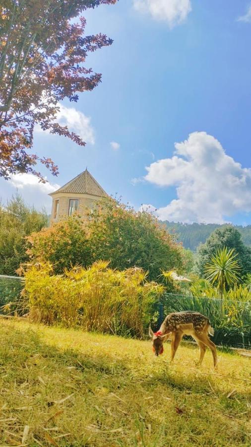 Willa Quinta Do Bamby Leiria Zewnętrze zdjęcie