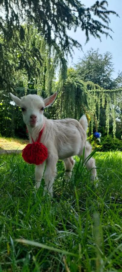 Willa Quinta Do Bamby Leiria Zewnętrze zdjęcie