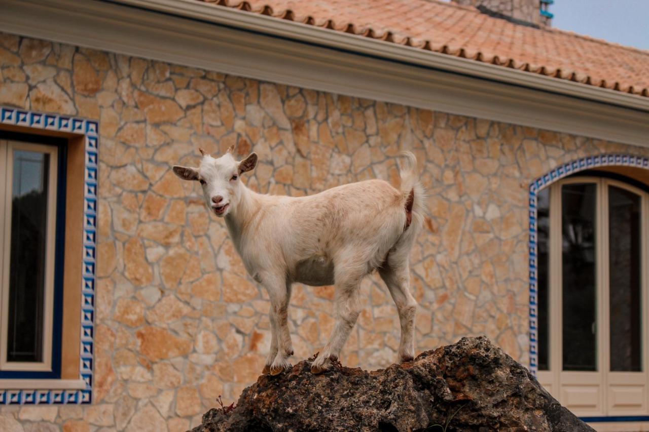 Willa Quinta Do Bamby Leiria Zewnętrze zdjęcie